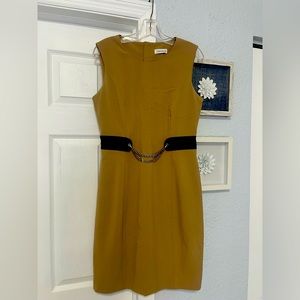 NWT Woman Dress